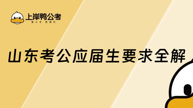 山东考公应届生要求全解