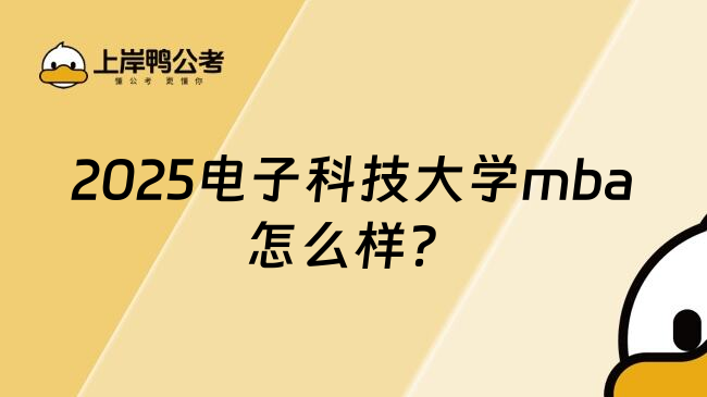 2025电子科技大学mba怎么样？