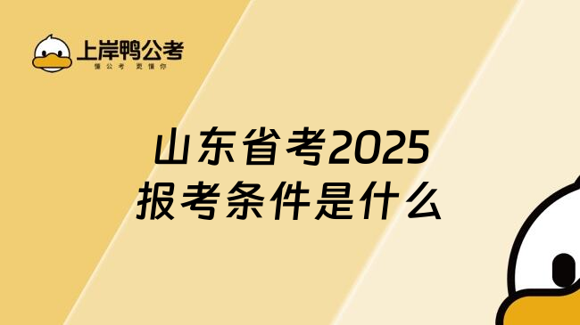 山东省考2025报考条件是什么