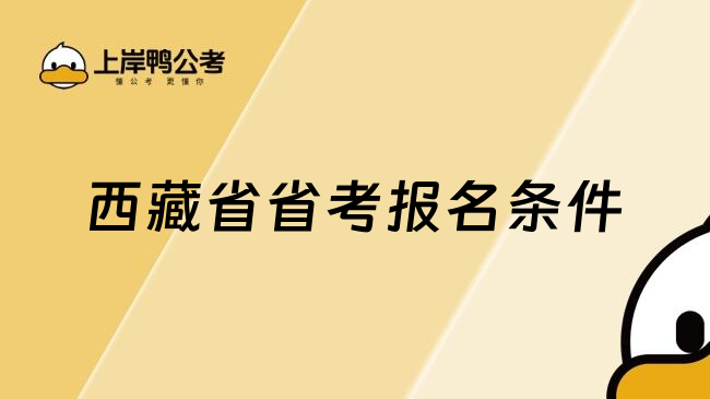 西藏省省考报名条件