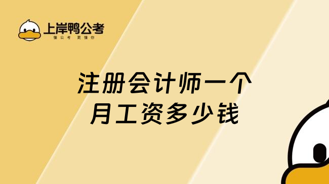 注册会计师一个月工资多少钱