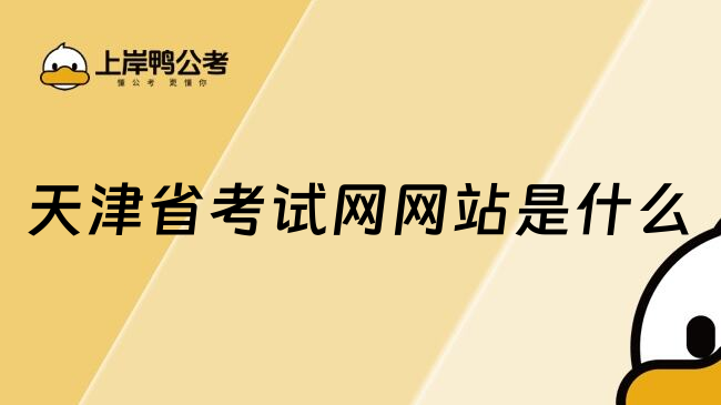 天津省考试网网站是什么