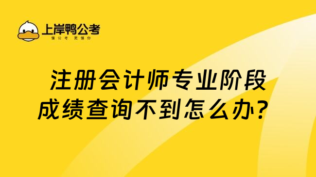 注册会计师专业阶段成绩查询不到怎么办？