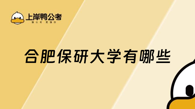 合肥保研大学有哪些