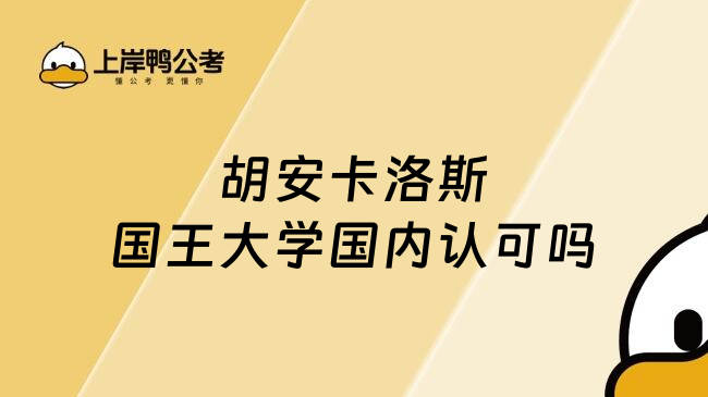 胡安卡洛斯国王大学国内认可吗