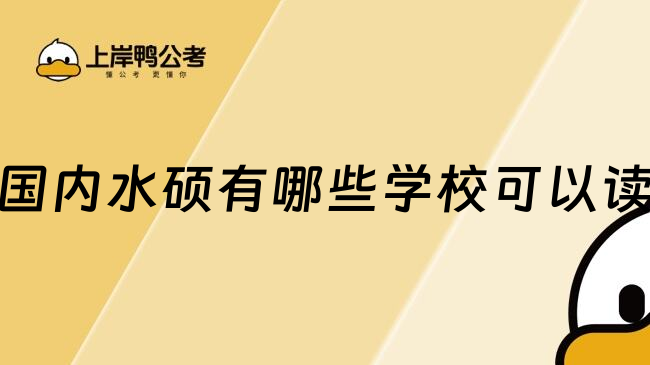 国内水硕有哪些学校可以读