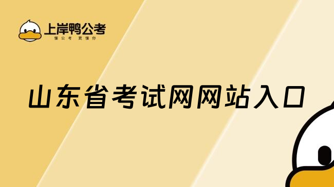 山东省考试网网站入口