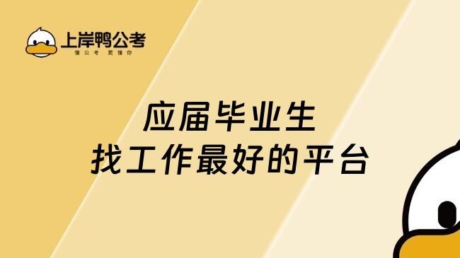 应届毕业生找工作最好的平台