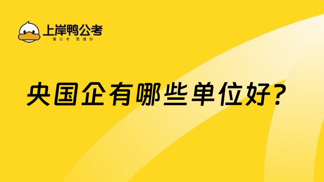 央國企有哪些單位好？