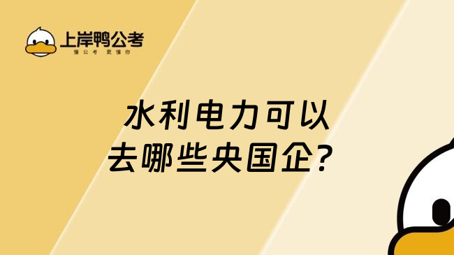 水利電力可以去哪些央國企？