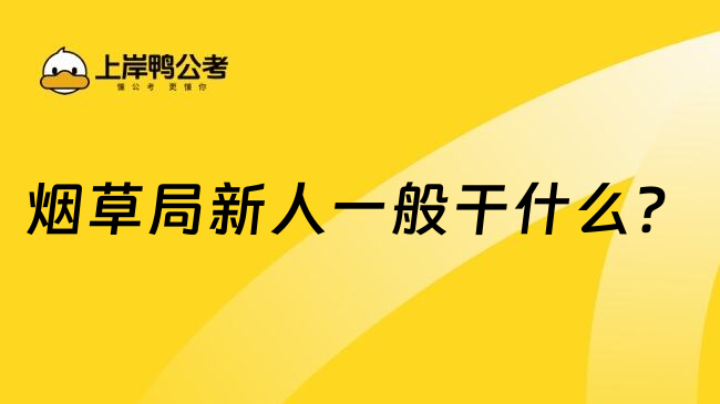 煙草局新人一般干什么？