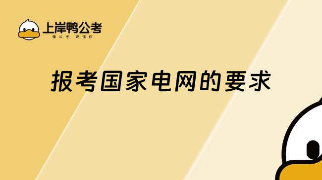 報考國家電網(wǎng)的要求