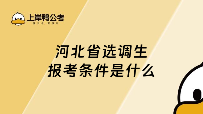 河北省選調(diào)生報考條件是什么