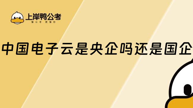 中國電子云是央企嗎還是國企