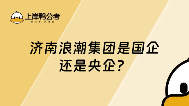 濟南浪潮集團是國企還是央企？