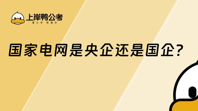 国家电网是央企还是国企？