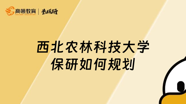 西北農(nóng)林科技大學(xué)保研如何規(guī)劃
