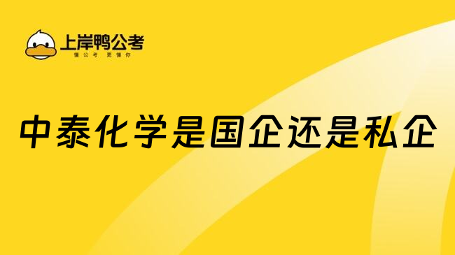 中泰化學(xué)是國企還是私企