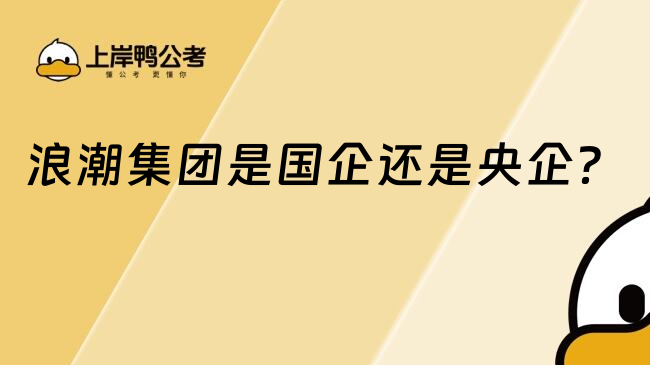 浪潮集團是國企還是央企？