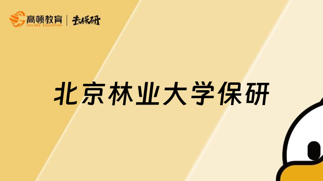 北京林業(yè)大學(xué)保研