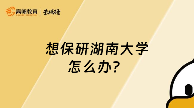 想保研湖南大學怎么辦？