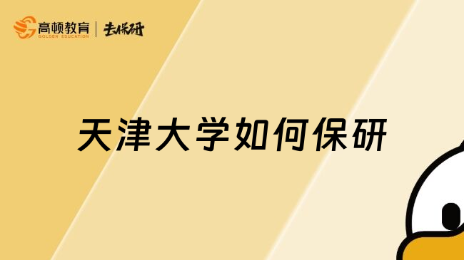 天津大學(xué)如何保研