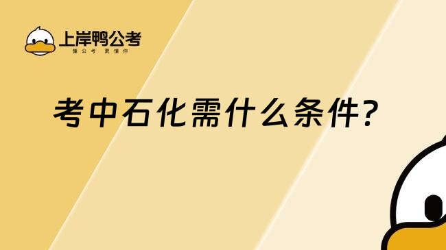 考中石化需什么条件？