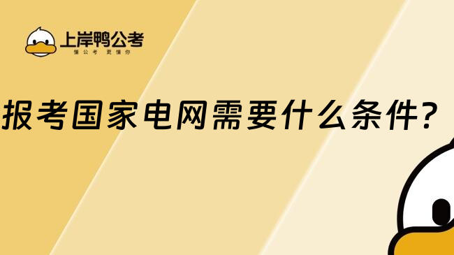 報(bào)考國(guó)家電網(wǎng)需要什么條件？
