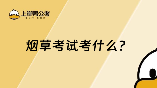 煙草考試考什么？