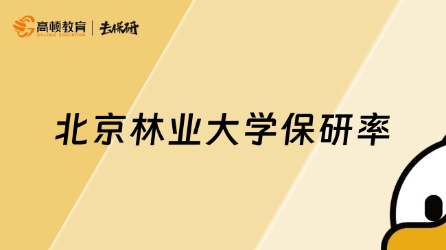 北京林業(yè)大學(xué)保研率