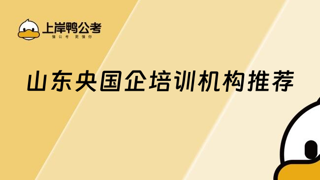 山東央國(guó)企培訓(xùn)機(jī)構(gòu)推薦