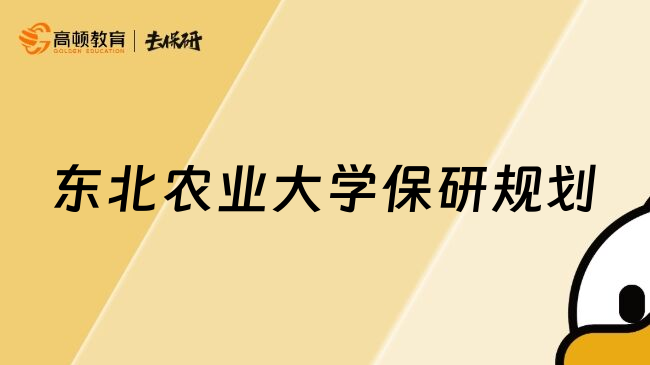 東北農(nóng)業(yè)大學保研規(guī)劃