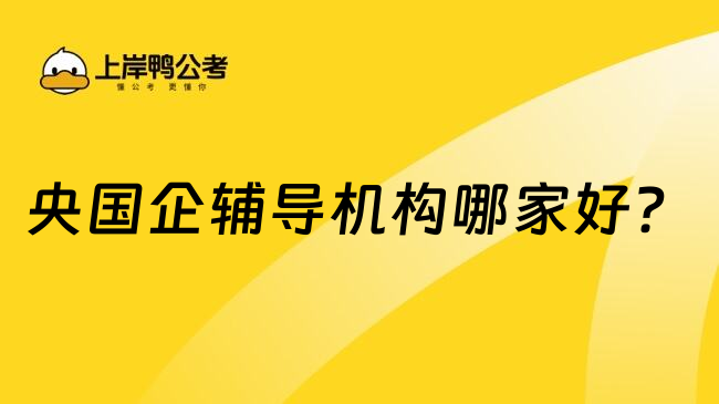 央國(guó)企輔導(dǎo)機(jī)構(gòu)哪家好？