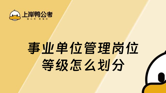 事業(yè)單位管理崗位等級(jí)怎么劃分