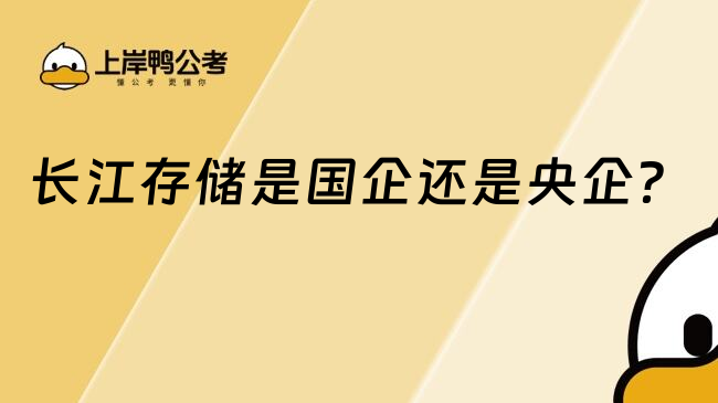 長(zhǎng)江存儲(chǔ)是國(guó)企還是央企？