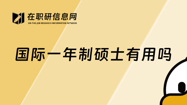 国际一年制硕士有用吗