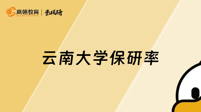 云南大學(xué)保研率