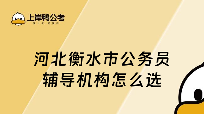 河北衡水市公务员辅导机构怎么选