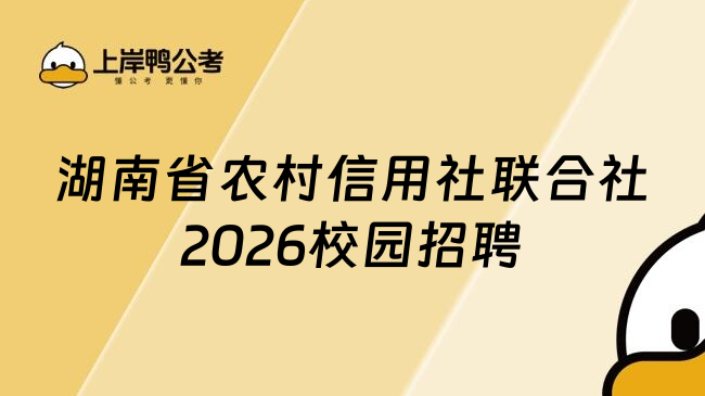 湖南省农村信用社联合社2026校园招聘