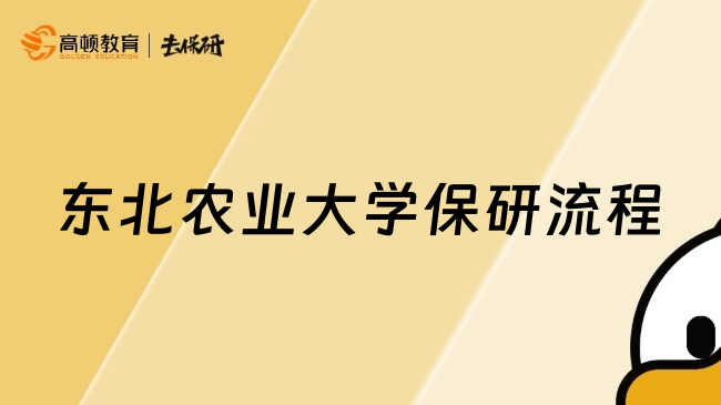 东北农业大学保研流程