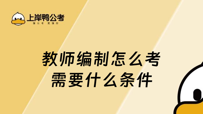 教师编制怎么考需要什么条件