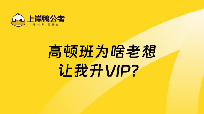 高顿班为啥老想让我升VIP？