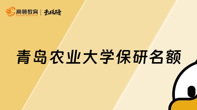 青岛农业大学保研名额