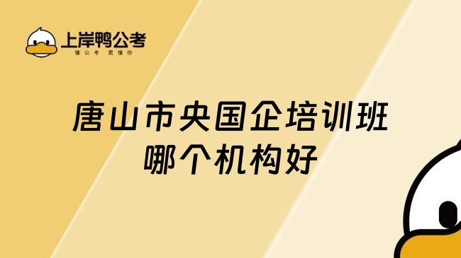 唐山市央国企培训班哪个机构好