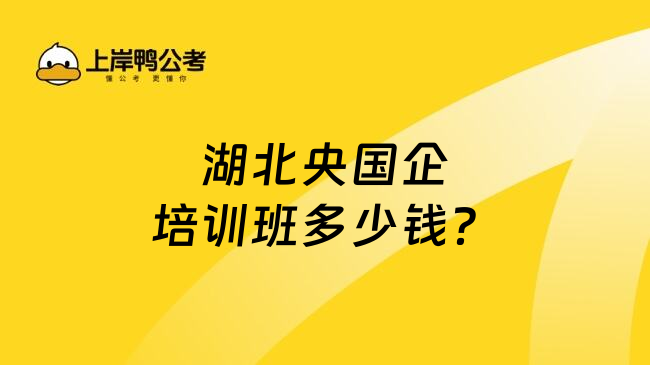 湖北央国企培训班多少钱？