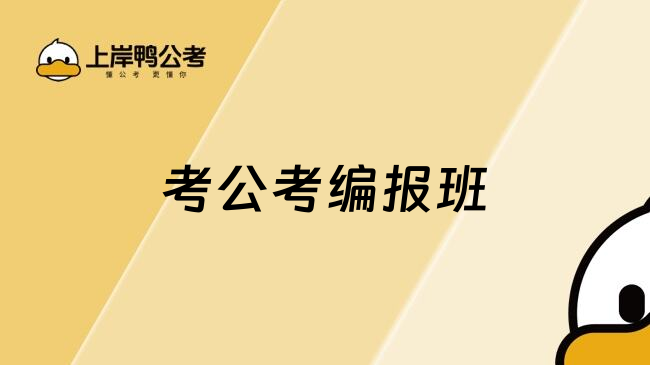 考公考编报班