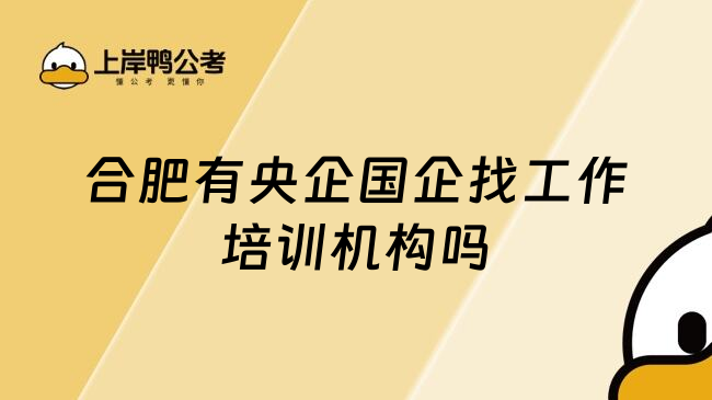 合肥有央企国企找工作培训机构吗