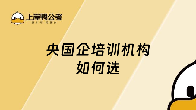 央国企培训机构如何选