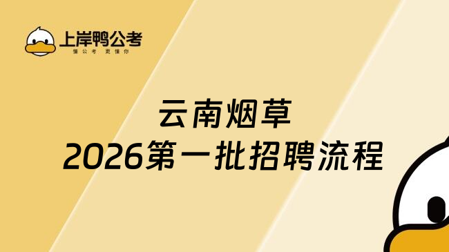 云南烟草2026第一批招聘流程