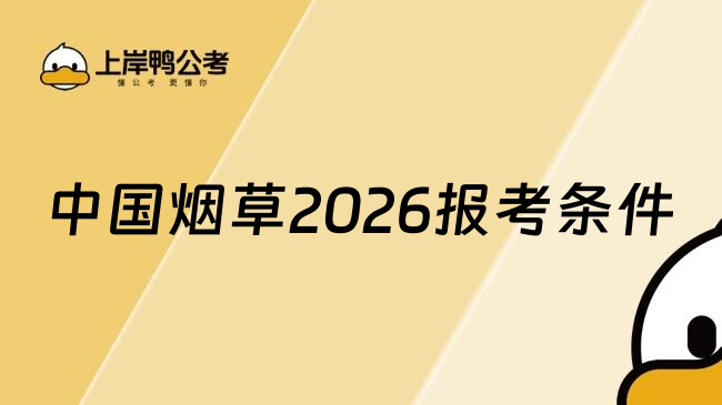 中国烟草2026报考条件